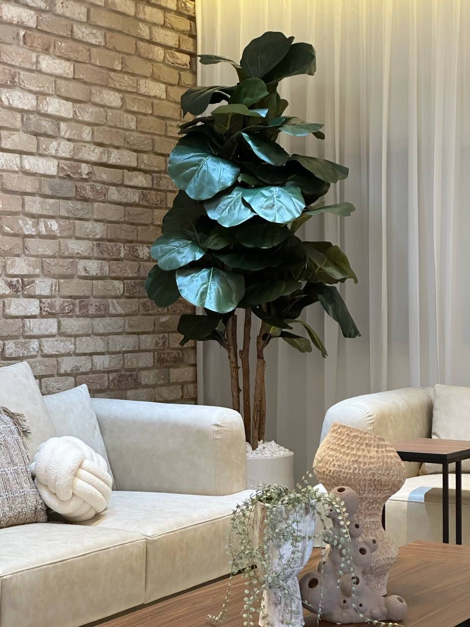 בית נורס אלעומר (כלה)