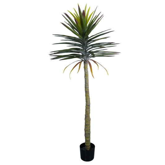 עציץ יוקה 140ס"מ