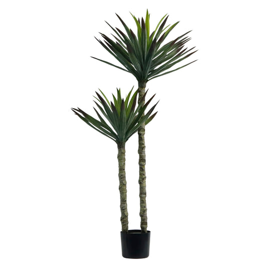 עציץ אגבה 110 ס"מ