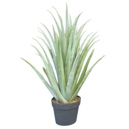 עציץ אגבה 70 ס"מ